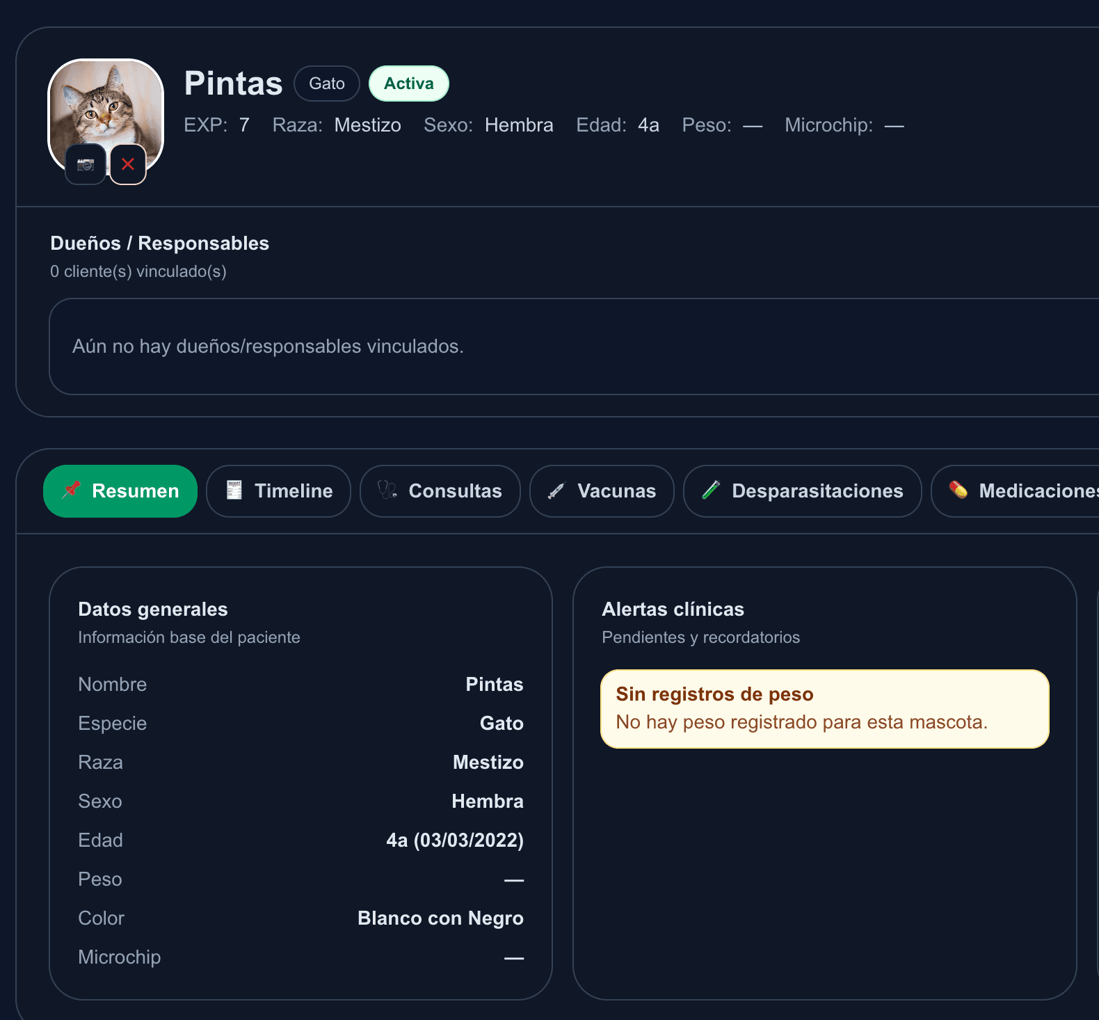 Vista general de PintoVet